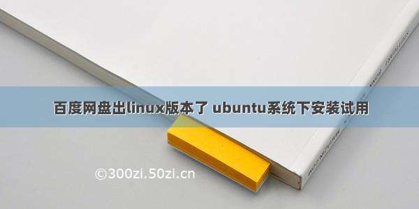 百度网盘出linux版本了 ubuntu系统下安装试用