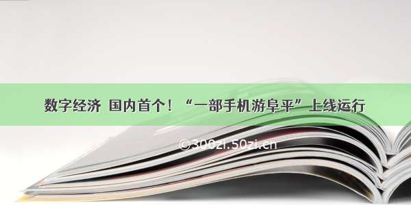 数字经济｜国内首个！“一部手机游阜平”上线运行