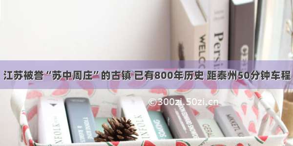 江苏被誉“苏中周庄”的古镇 已有800年历史 距泰州50分钟车程