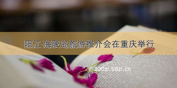阳江·海陵岛旅游推介会在重庆举行