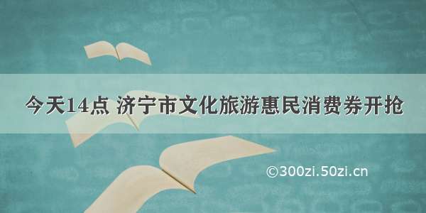 今天14点 济宁市文化旅游惠民消费券开抢