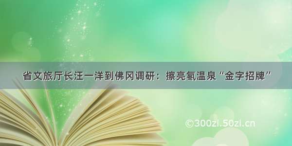 省文旅厅长汪一洋到佛冈调研：擦亮氡温泉“金字招牌”