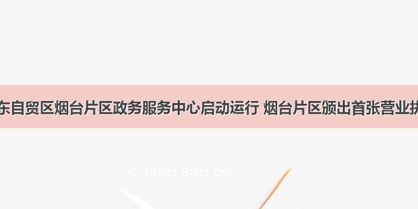 山东自贸区烟台片区政务服务中心启动运行 烟台片区颁出首张营业执照