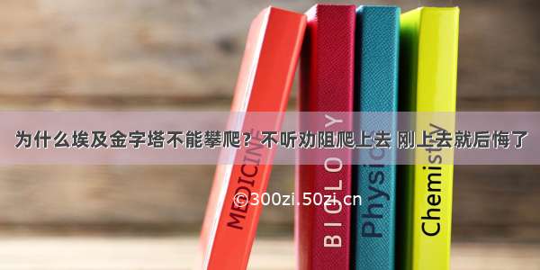 为什么埃及金字塔不能攀爬？不听劝阻爬上去 刚上去就后悔了