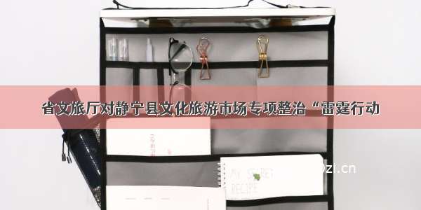 省文旅厅对静宁县文化旅游市场专项整治“雷霆行动