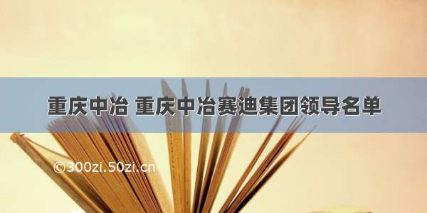 重庆中冶 重庆中冶赛迪集团领导名单