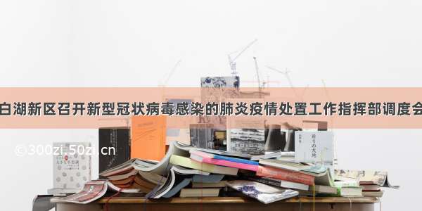 太白湖新区召开新型冠状病毒感染的肺炎疫情处置工作指挥部调度会议