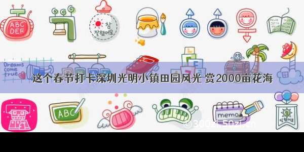 这个春节打卡深圳光明小镇田园风光 赏2000亩花海