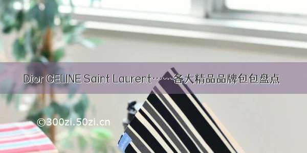 Dior CELINE Saint Laurent……各大精品品牌包包盘点