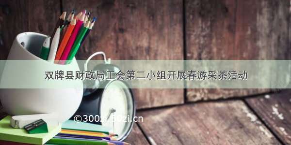 双牌县财政局工会第二小组开展春游采茶活动