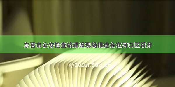 东营市公安检查站建设现场推进会在河口区召开