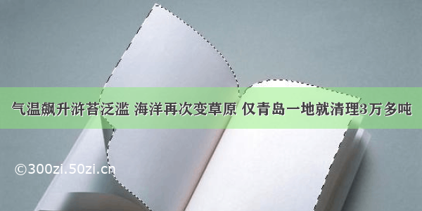 气温飙升浒苔泛滥 海洋再次变草原 仅青岛一地就清理3万多吨