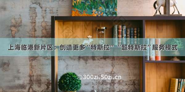 上海临港新片区：创造更多“特斯拉” “超特斯拉”服务模式