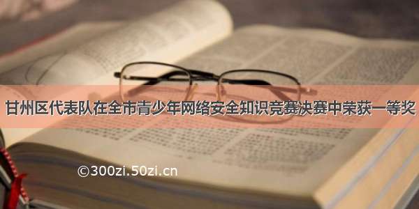 甘州区代表队在全市青少年网络安全知识竞赛决赛中荣获一等奖