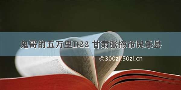 鬼哥的五万里D22 甘肃张掖市民乐县