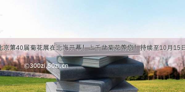 北京第40届菊花展在北海开幕！上千盆菊花等您！持续至10月15日！