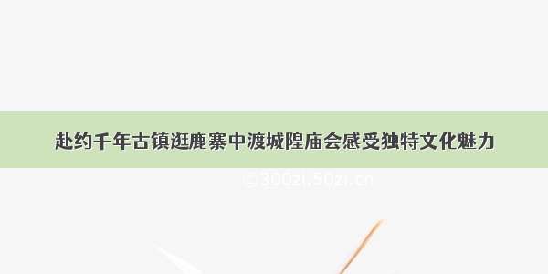 赴约千年古镇逛鹿寨中渡城隍庙会感受独特文化魅力