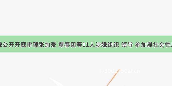 柳州中院公开开庭审理张加爱 覃春团等11人涉嫌组织 领导 参加黑社会性质组织案