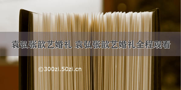 袁弘张歆艺婚礼 袁弘张歆艺婚礼全程观看