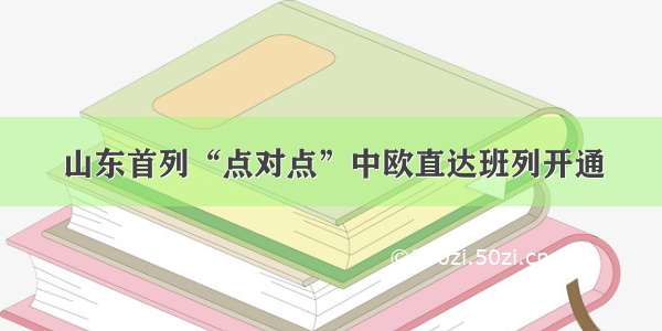 山东首列“点对点”中欧直达班列开通