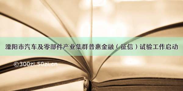 溧阳市汽车及零部件产业集群普惠金融（征信）试验工作启动