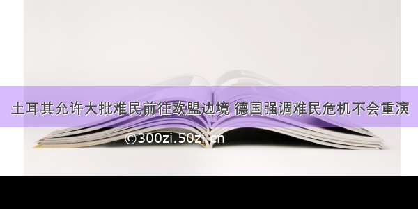 土耳其允许大批难民前往欧盟边境 德国强调难民危机不会重演