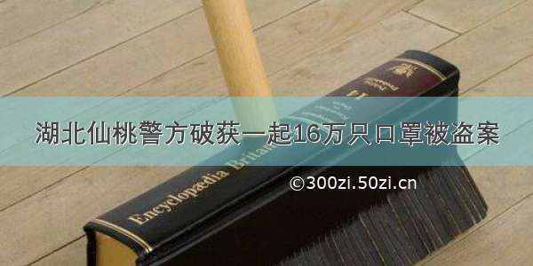 湖北仙桃警方破获一起16万只口罩被盗案