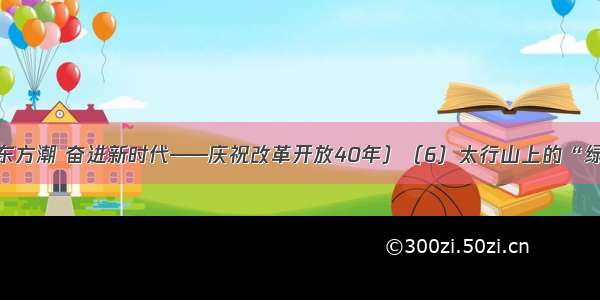 （壮阔东方潮 奋进新时代——庆祝改革开放40年）（6）太行山上的“绿色长征”