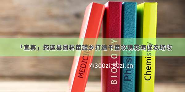 「宜宾」筠连县团林苗族乡打造千亩玫瑰花海促农增收