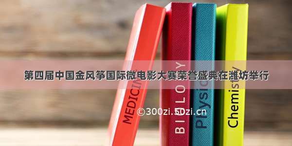 第四届中国金风筝国际微电影大赛荣誉盛典在潍坊举行