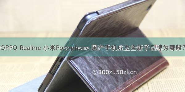 OPPO Realme 小米Pocophone 国产手机成立全新子品牌为哪般？