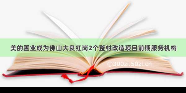 美的置业成为佛山大良红岗2个整村改造项目前期服务机构