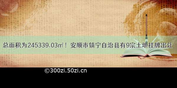 总面积为245339.03㎡！安顺市镇宁自治县有9宗土地挂牌出让