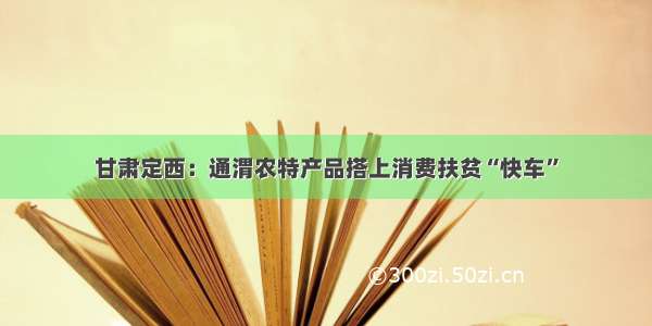 甘肃定西：通渭农特产品搭上消费扶贫“快车”