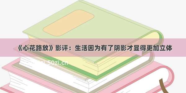 《心花路放》影评：生活因为有了阴影才显得更加立体