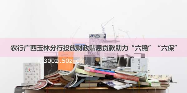 农行广西玉林分行投放财政贴息贷款助力“六稳”“六保”