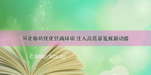 河北廊坊优化营商环境 注入高质量发展新动能