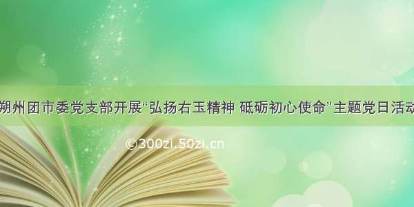 朔州团市委党支部开展“弘扬右玉精神 砥砺初心使命”主题党日活动