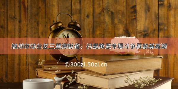 铜川市印台区三里洞街道：扫黑除恶专项斗争再掀新高潮