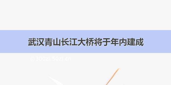 武汉青山长江大桥将于年内建成