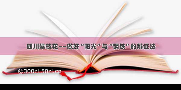 四川攀枝花――做好“阳光”与“钢铁”的辩证法