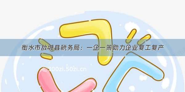 衡水市故城县税务局：一企一策助力企业复工复产