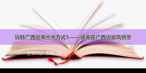 玩转广西边关十大方式5——迷失在广西边贸风情里