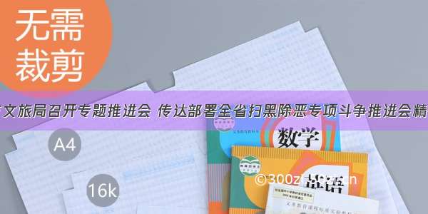 市文旅局召开专题推进会 传达部署全省扫黑除恶专项斗争推进会精神