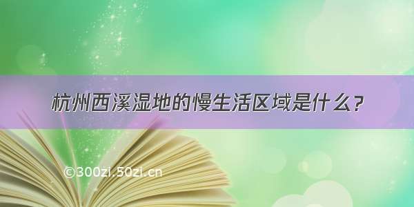 杭州西溪湿地的慢生活区域是什么？