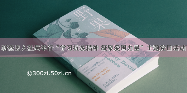 新蔡县人社局举行“学习抗疫精神 凝聚爱国力量”主题党日活动