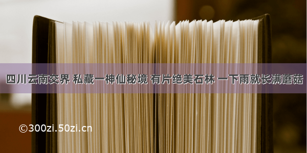 四川云南交界 私藏一神仙秘境 有片绝美石林 一下雨就长满蘑菇