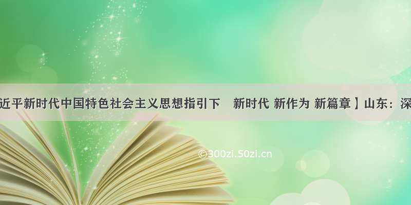 【在习近平新时代中国特色社会主义思想指引下―新时代 新作为 新篇章】山东：深耕海