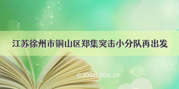 江苏徐州市铜山区郑集突击小分队再出发