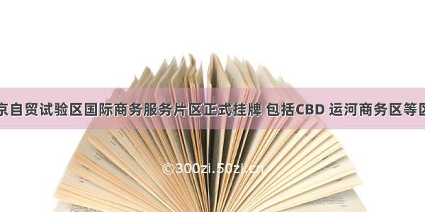 北京自贸试验区国际商务服务片区正式挂牌 包括CBD 运河商务区等区域